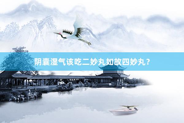 阴囊湿气该吃二妙丸如故四妙丸？