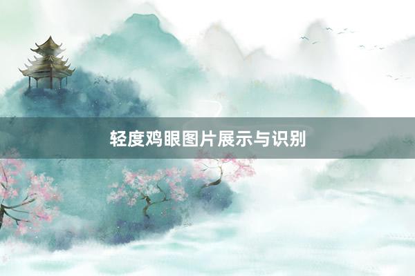 轻度鸡眼图片展示与识别