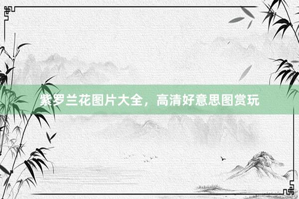 紫罗兰花图片大全，高清好意思图赏玩